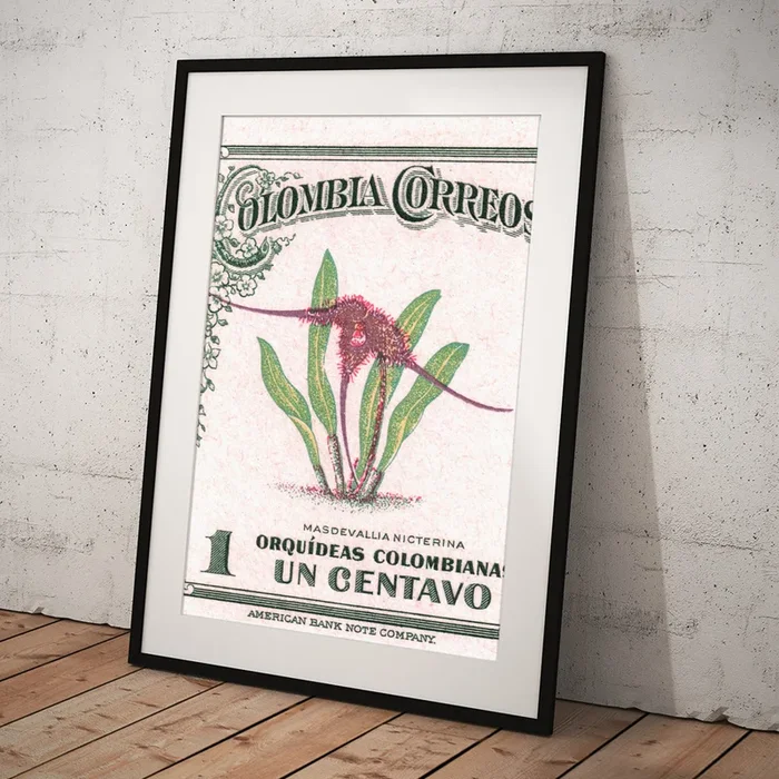 1947 COLOMBIA Masdevallia Orchid Postage Stamp Art Print