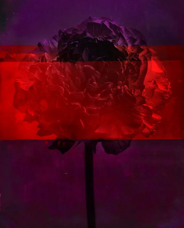 ?????????? (2020) Mixed-media painting by Teis Albers