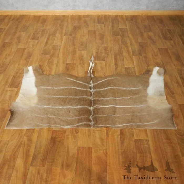 African Kudu Tanned Skin Taxidermy Rug For Sale