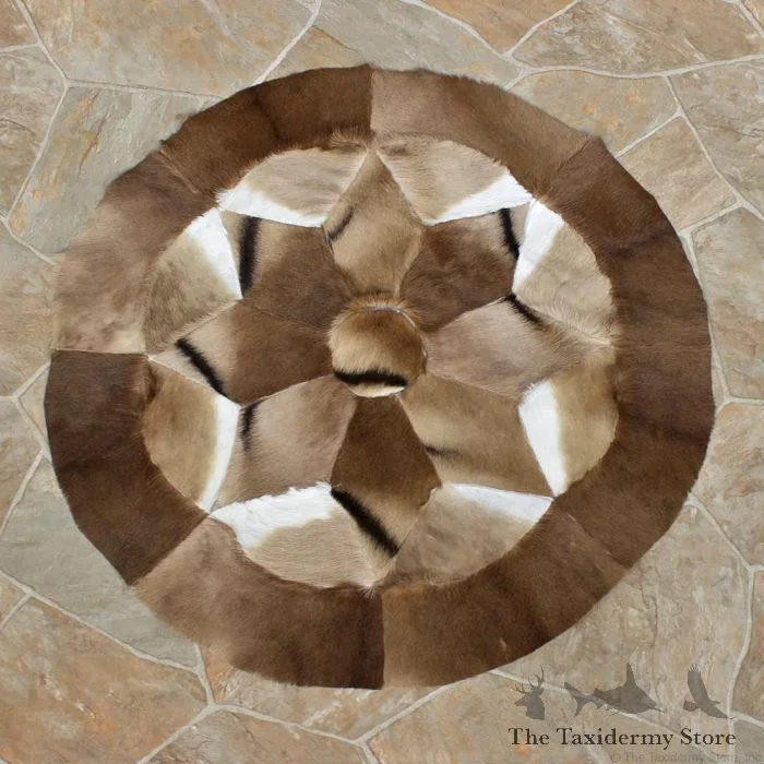 African Springbok Hide Taxidermy Rug For Sale