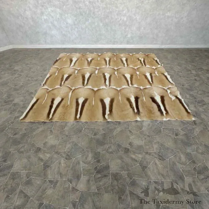 African Springbok Hide Taxidermy Throw For Sale