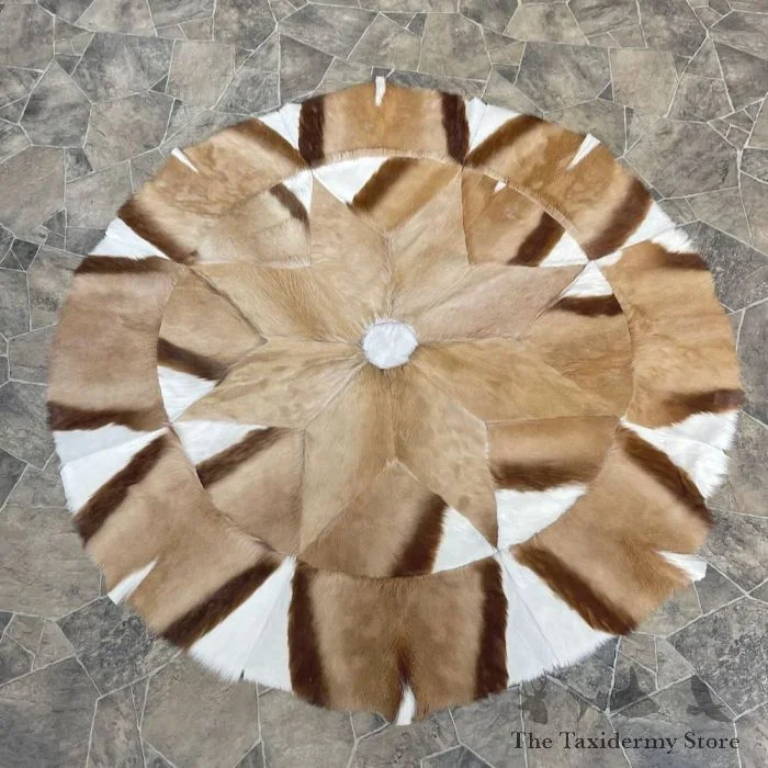 African Springbok Hide Taxidermy Throw For Sale