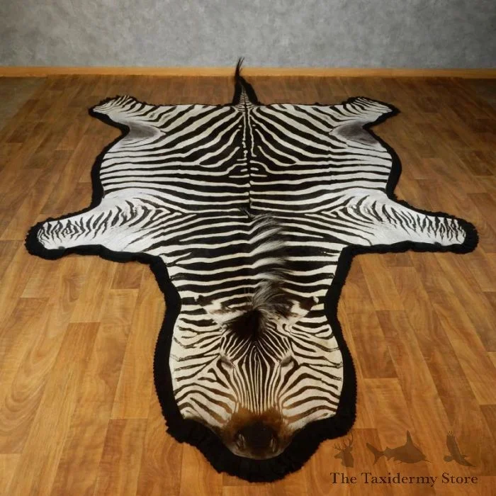 African Zebra Full-Size Taxidermy Rug For Sale