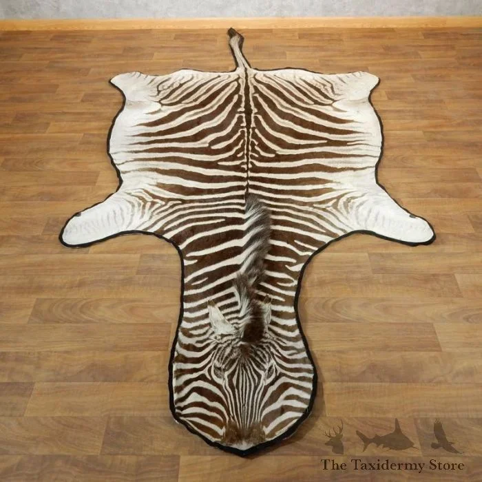 African Zebra Full-Size Taxidermy Rug For Sale