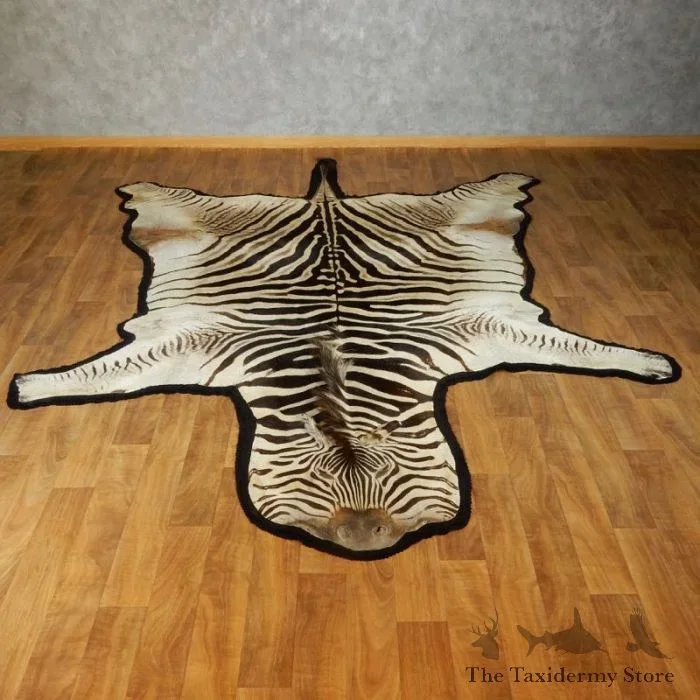 African Zebra Taxidermy Rug Mount For Sale