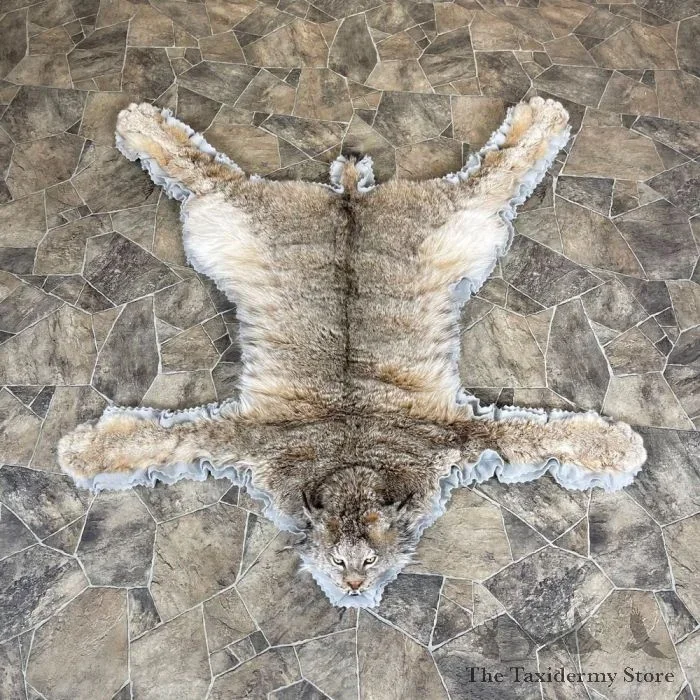 Alaskan Lynx Taxidermy Full Rug Mount For Sale