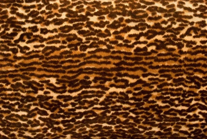 Animal Print