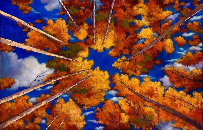 Aspen Vortex