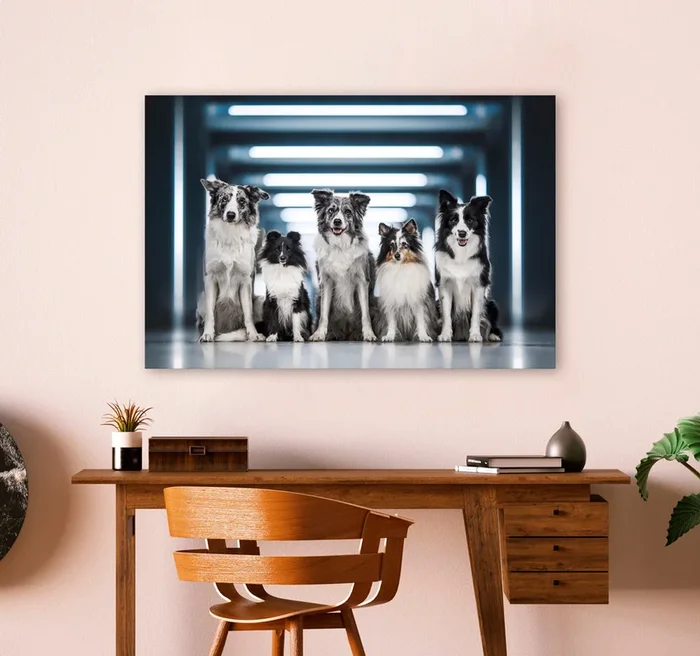 Aussie Line-up Canvas Wall Art