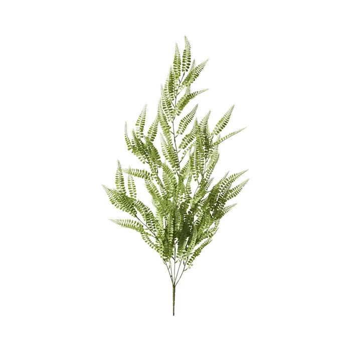 Babylon Green Stem