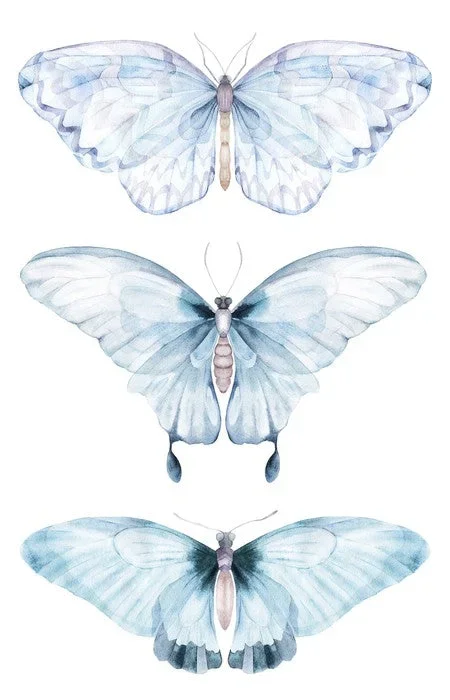 Barely there butterflies