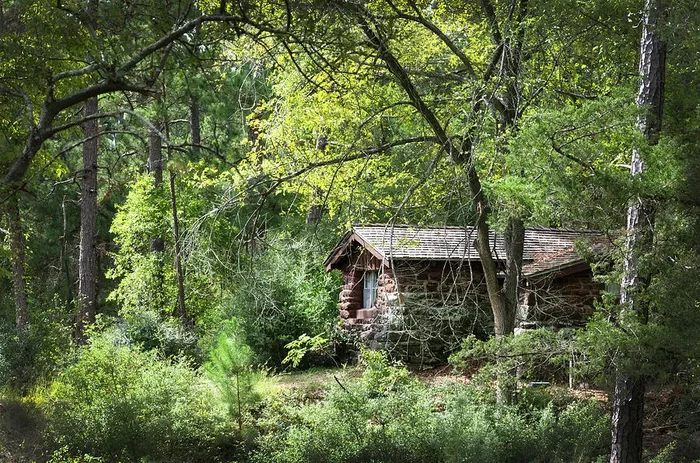 Bastrop Cabin