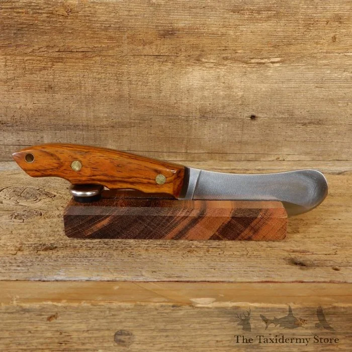 Beavertail Trapper Skinning Knife with Cocobolo Handle For Sale