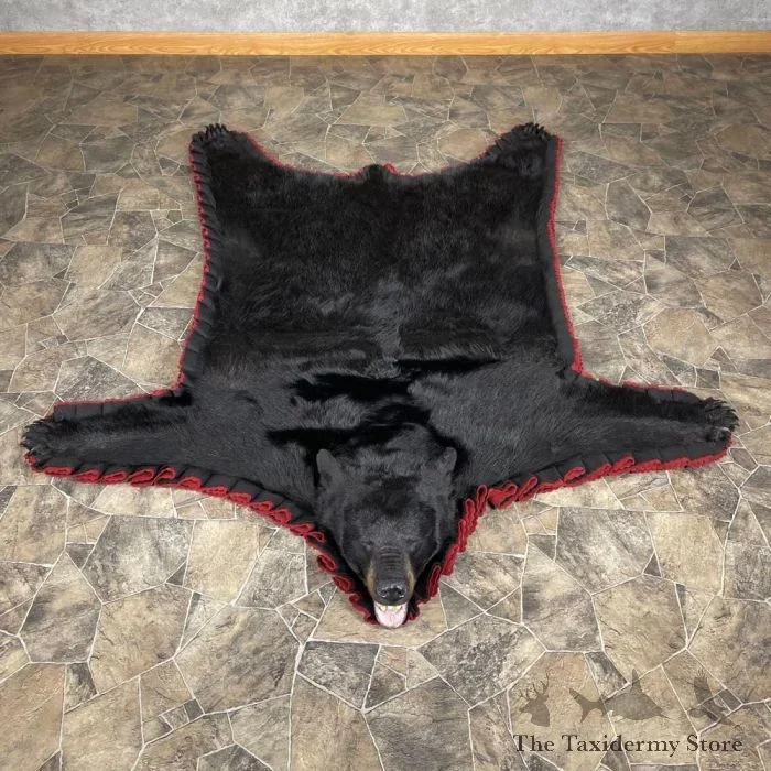 Black Bear Full-Size Taxidermy Rug For Sale