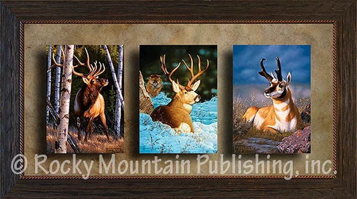 Blind Sided – Triple Giclee Canvas Framed Art Prints by Tom Mansanarez