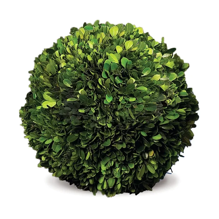 Boxwood Ball 12″
