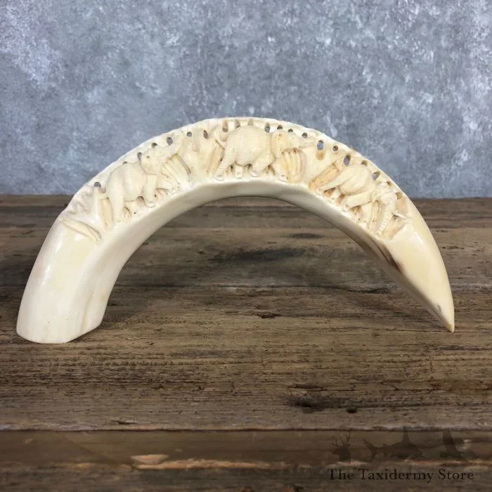 Carved Hippopotamus Tooth Safari Decor For Sale