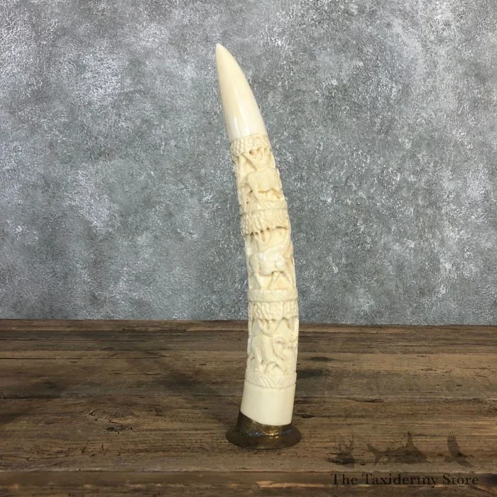 Carved Hippopotamus Tooth Taxidermy Mount For Sale