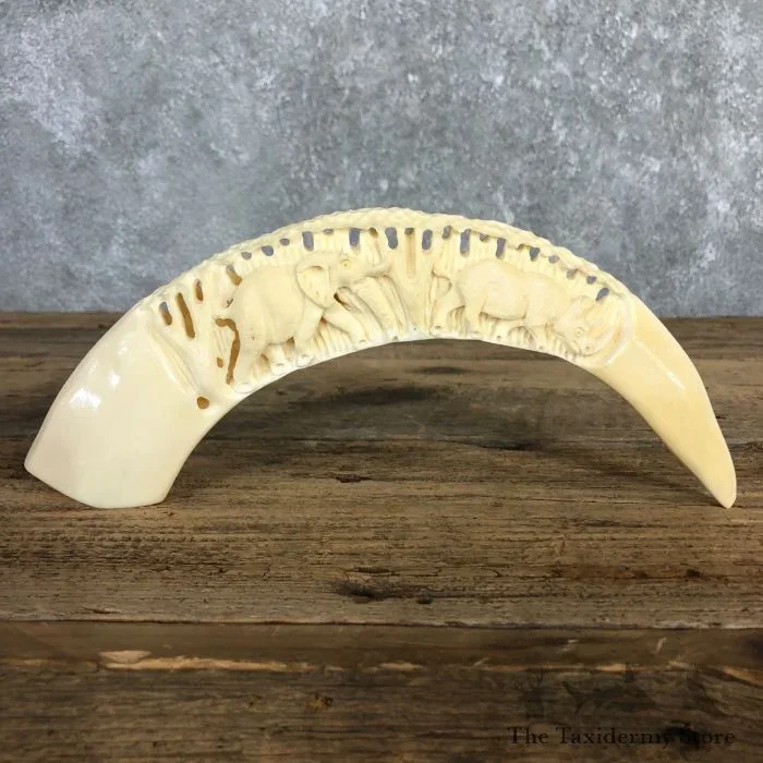 Carved Hippopotamus Tooth Taxidermy Mount For Sale