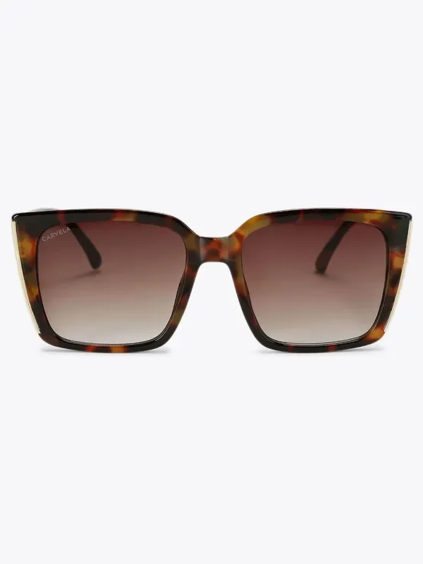 Carvela Dark Brown Square Frame Sunglasses