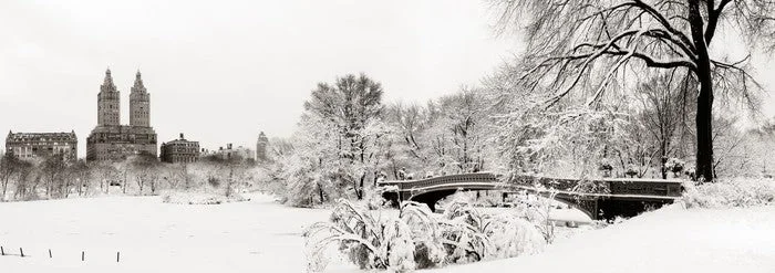 Central Park winter
