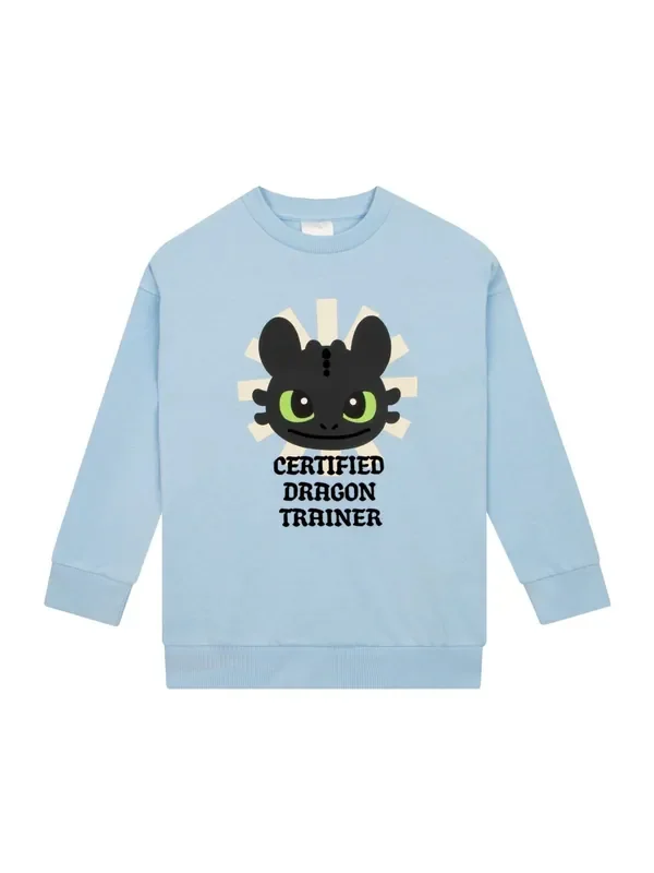 Character Blue How To Train Your Dragon Toothless Sweatshirt