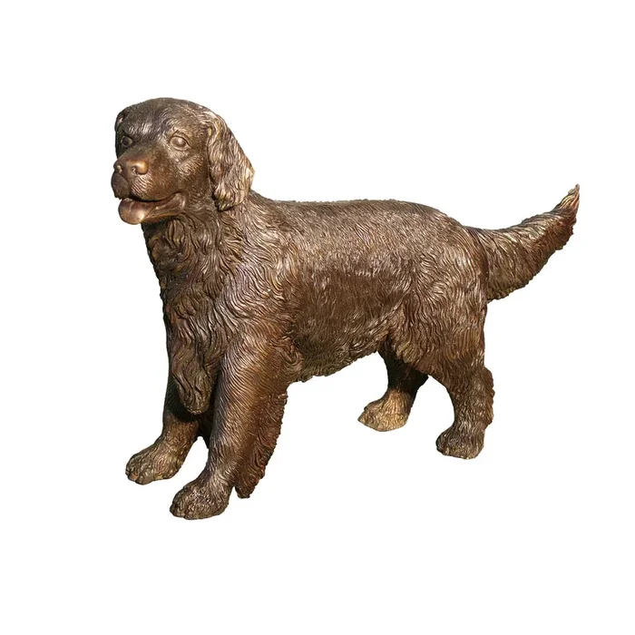 Cocker Spaniel Standing