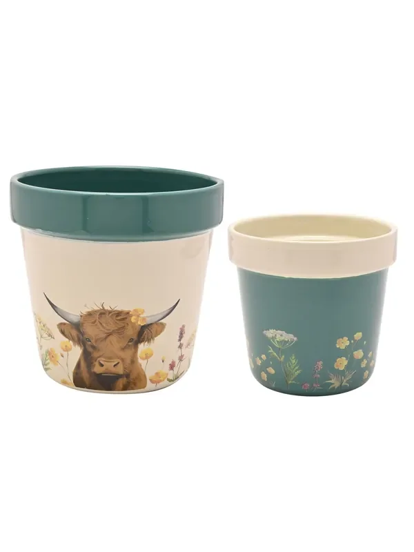 Country Living Set of 2 Cream Planters Highland Cow
