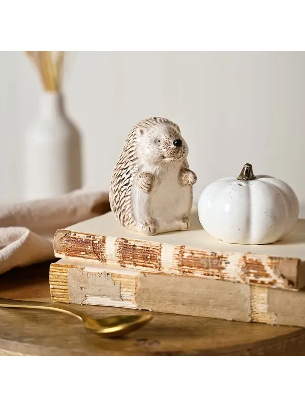 Country Living White Hedgehog Salt and Pepper Set