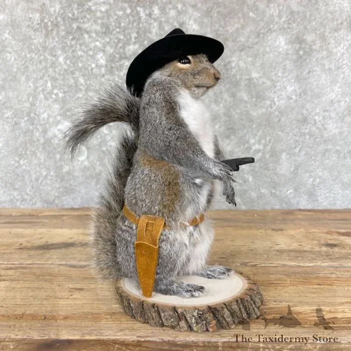 Cowboy Squirrel Novelty Taxidermy Mount For Sale