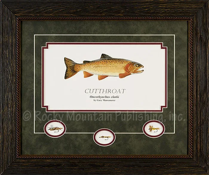 Cutthroat – Framed Print by Gary Mansanarez