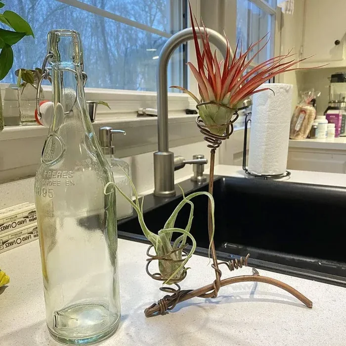Double Air Plant Holder