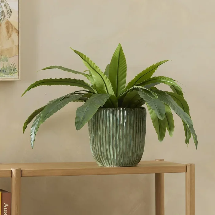 Dusk Green Rib Pot