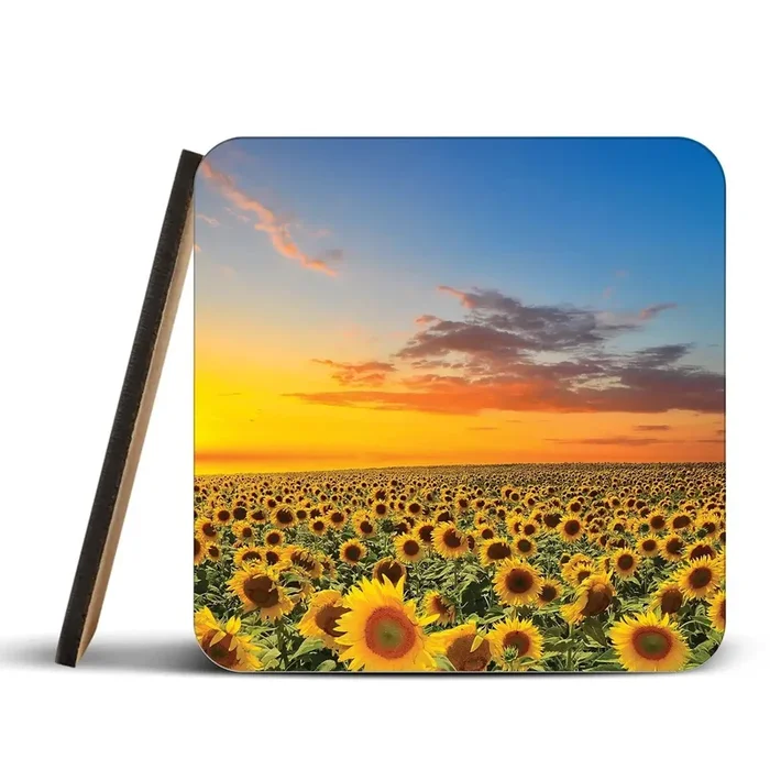 Field Of Blooming Sunflowers Coaster Set