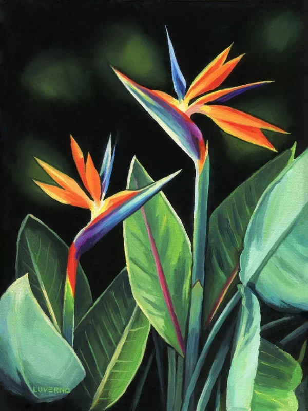 ‘Floral elegance’ (2021) Oil painting by Lucia Verdejo