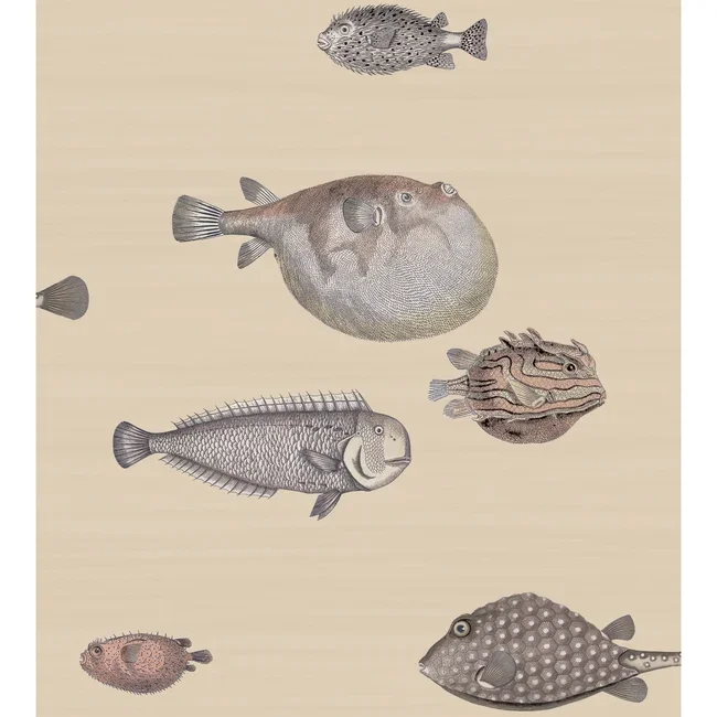 Fornasetti Acquario Wallpaper, Taupe