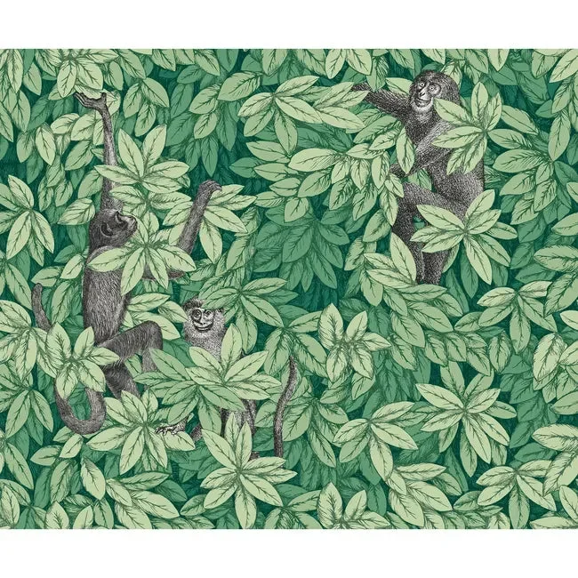 Fornasetti Foglie E Scimmie Wallpaper, Green