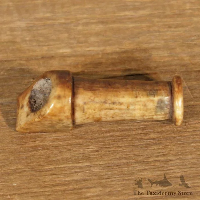 Fossilized Ivory Pipe Stem For Sale