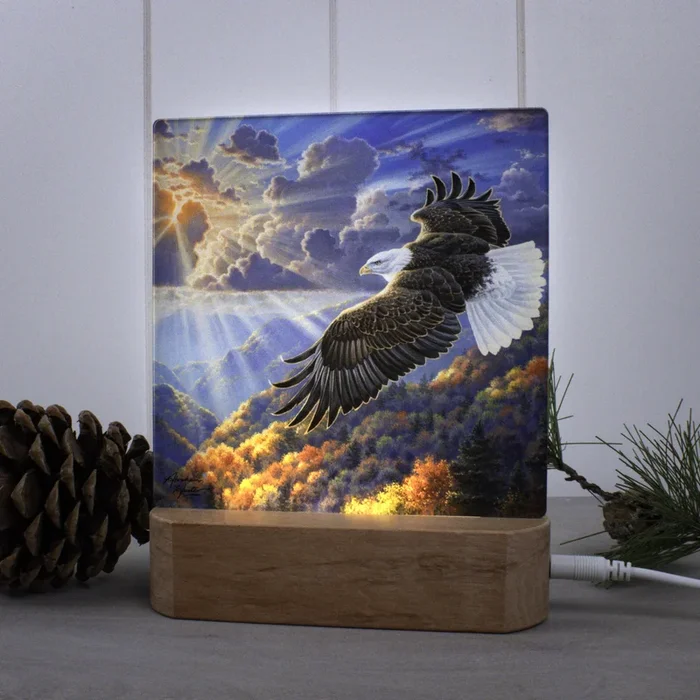 Freedom LED Nightlight