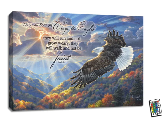 Freedom with Scripture 18×24 Fully Illuminated LED Wall Art
