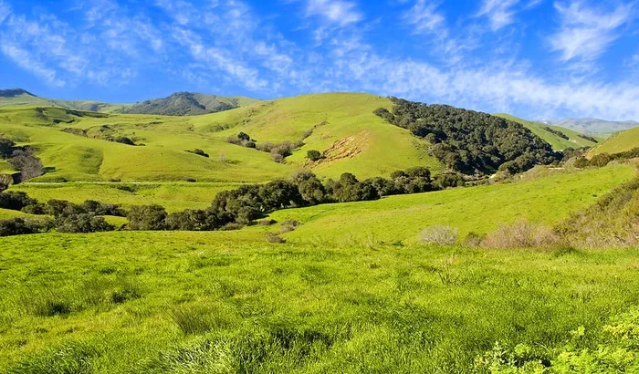 Green Meadow Santa Ynez valley CA