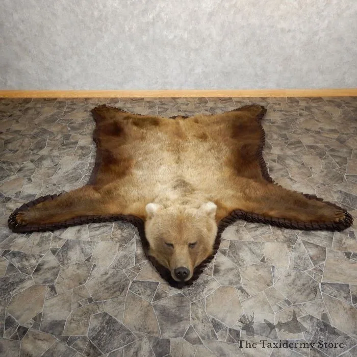 Grizzly Bear Full Size Taxidermy Rug Mount For Sale
