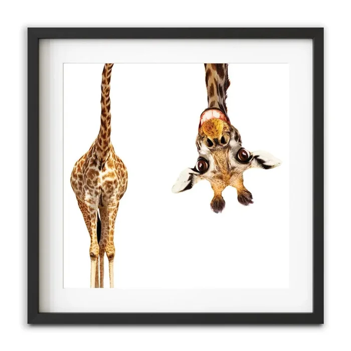 Happy Upside Down Giraffe Square Framed Art Print