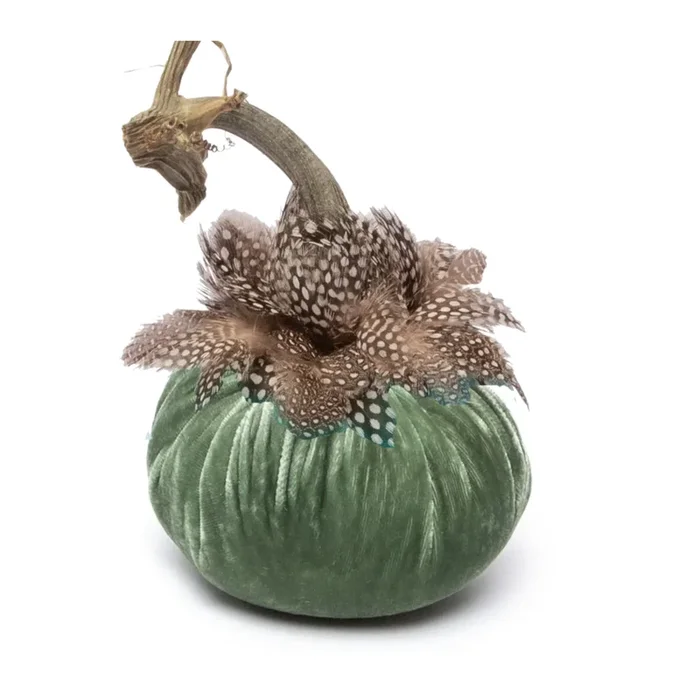 Hot Skwash Silk Velvet & Ringneck Collar Pumpkin, Sage