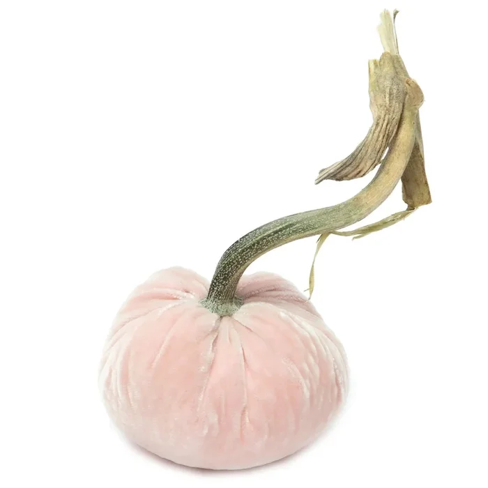 Hot Skwash Silk Velvet Pumpkin, Blush, Multi Sizes