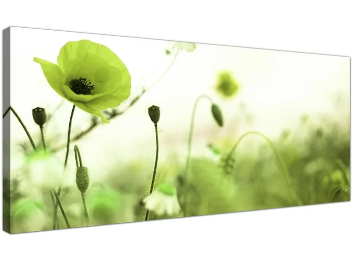 Large Lime Green White Poppy Field Flowers Floral Canvas Art