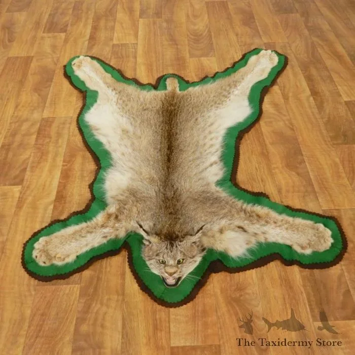 Lynx Taxidermy Rug Mount w/ Open Mouth For Sale