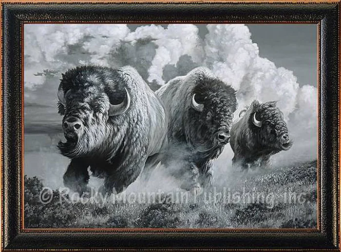 Muy Macho Canvas Art Prints by Dallen Lambson