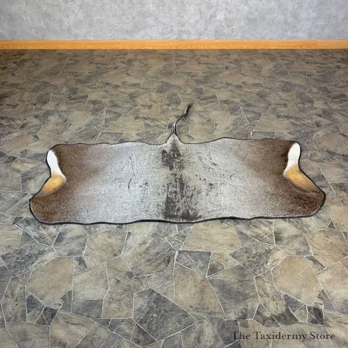 Nilgai Antelope Rug For Sale