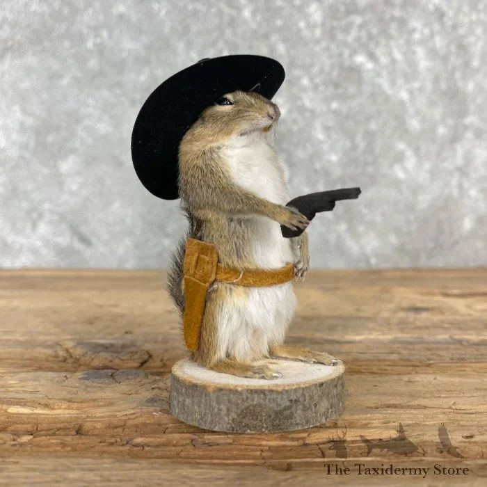 Novelty Chipmunk Taxidermy Mount For Sale